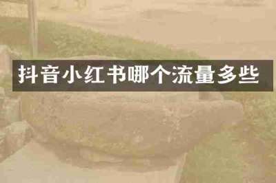 抖音小红书哪个流量多些