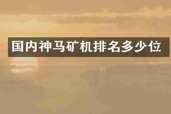 国内神马矿机排名多少位