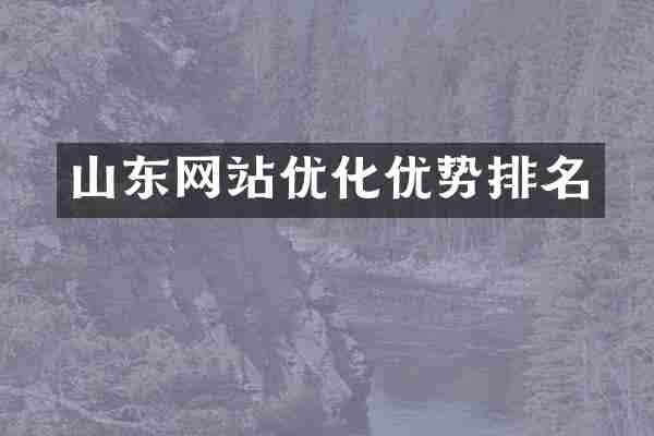 山东网站优化优势排名