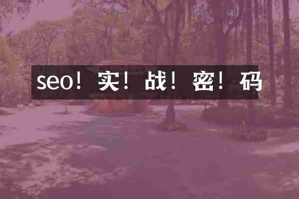 seo！实！战！密！码