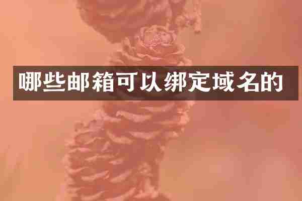 哪些邮箱可以绑定域名的