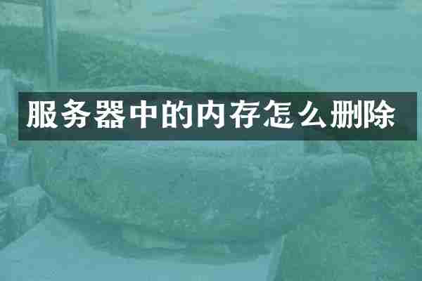 服务器中的内存怎么删除