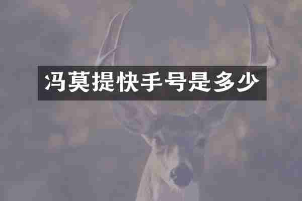 冯莫提快手号是多少