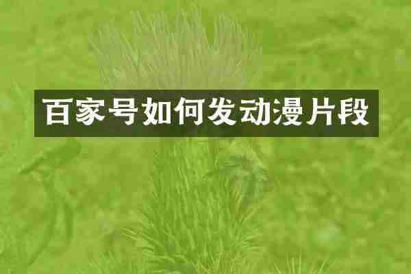 百家号如何发动漫片段