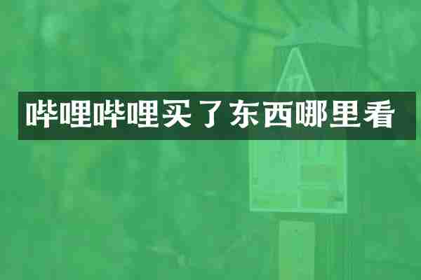 哔哩哔哩买了东西哪里看