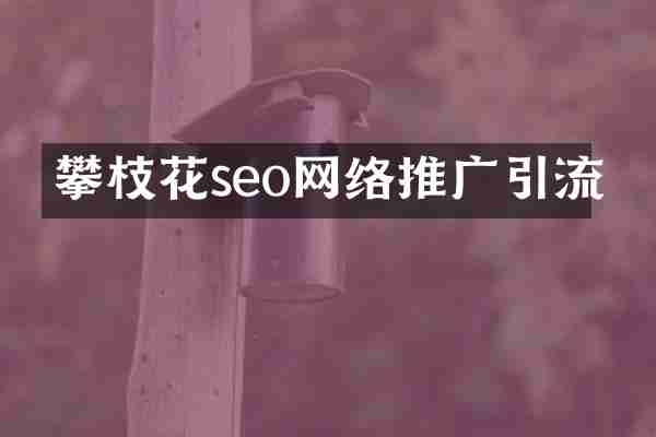 攀枝花seo网络推广引流