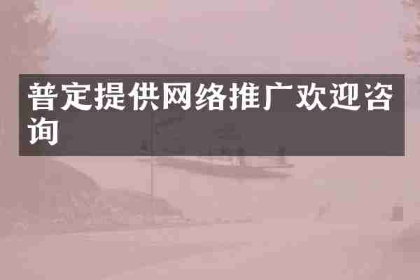 普定提供网络推广欢迎咨询