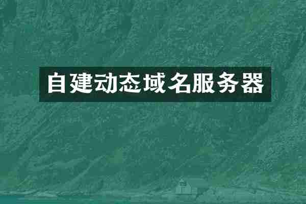 自建动态域名服务器