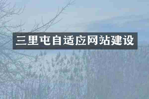 三里屯自适应网站建设