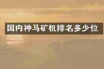 国内神马矿机排名多少位