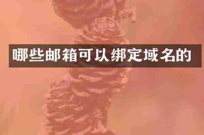 哪些邮箱可以绑定域名的