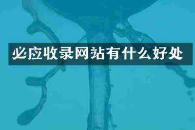 必应收录网站有什么好处