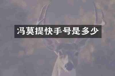 冯莫提快手号是多少