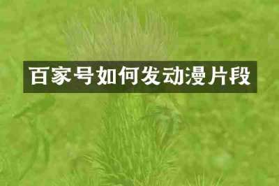 百家号如何发动漫片段