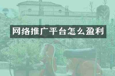 网络推广平台怎么盈利