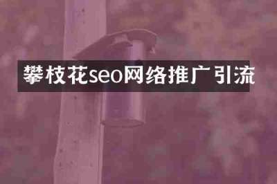 攀枝花seo网络推广引流