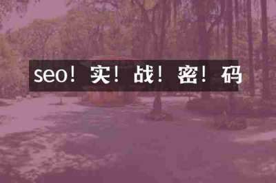 seo！实！战！密！码