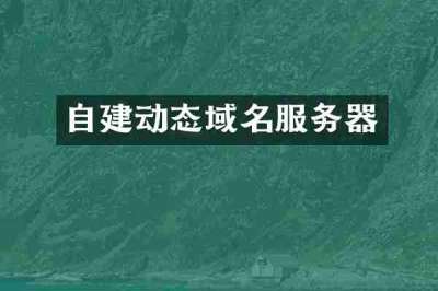 自建动态域名服务器