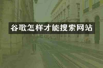 谷歌怎样才能搜索网站
