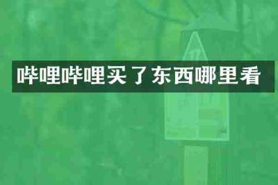 哔哩哔哩买了东西哪里看