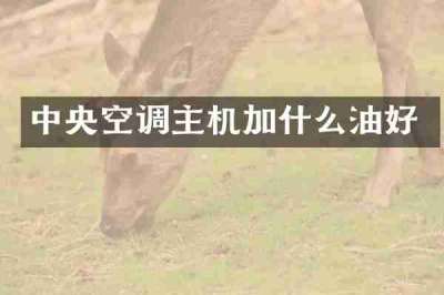 中央空调主机加什么油好