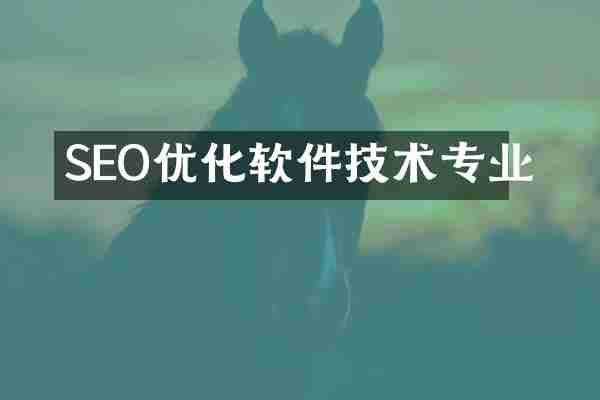 SEO优化软件技术专业