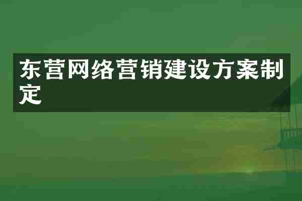 东营网络营销建设方案制定