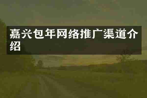 嘉兴包年网络推广渠道介绍