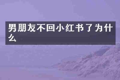 男朋友不回小红书了为什么