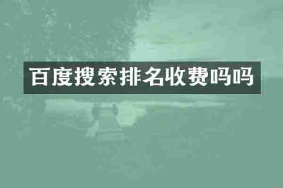 百度搜索排名收费吗吗