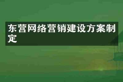 东营网络营销建设方案制定