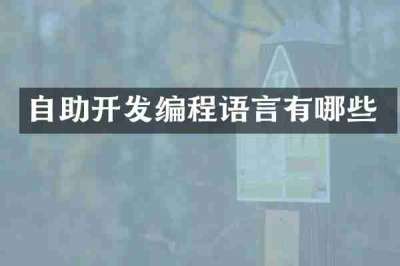 自助开发编程语言有哪些