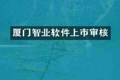 厦门智业软件上市审核