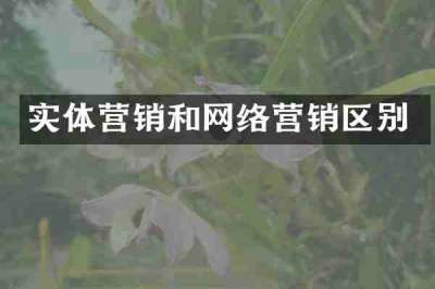 实体营销和网络营销区别
