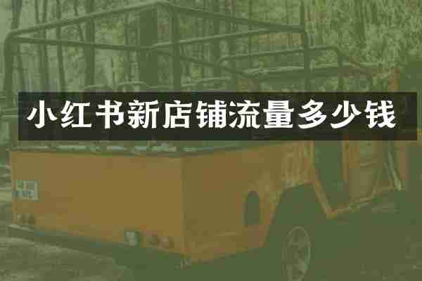 小红书新店铺流量多少钱