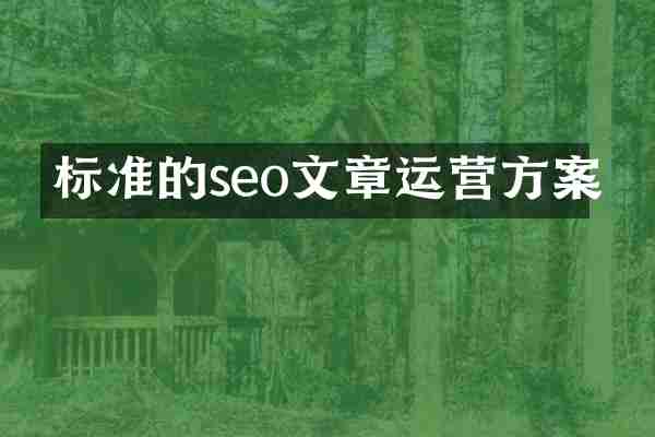 标准的seo文章运营方案