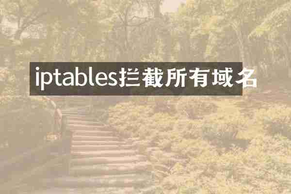 iptables拦截所有域名