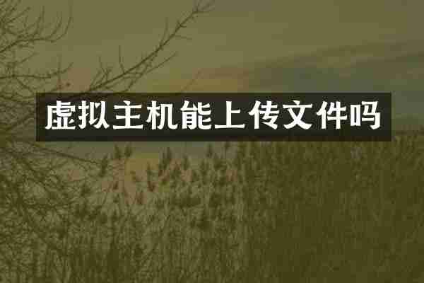 虚拟主机能上传文件吗