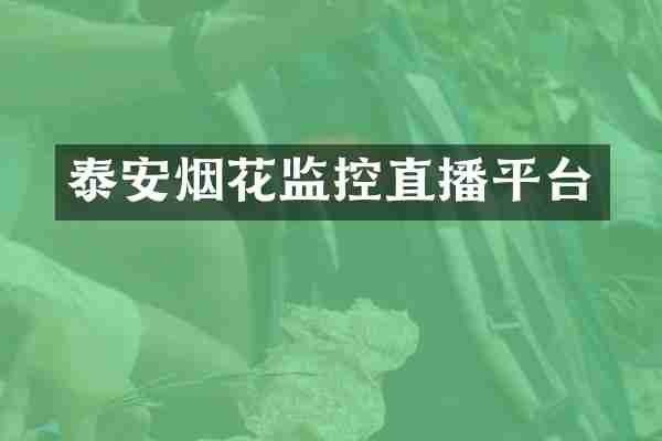 泰安监控直播平台