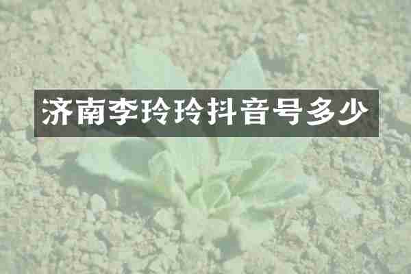 济南李玲玲抖音号多少