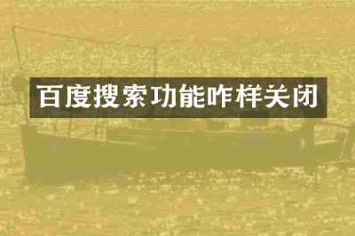 百度搜索功能咋样关闭