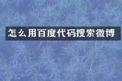 怎么用百度代码搜索微博