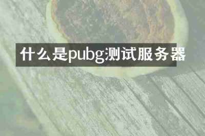 什么是pubg测试服务器