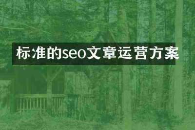 标准的seo文章运营方案