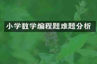 小学数学编程题难题分析