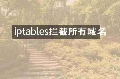 iptables拦截所有域名