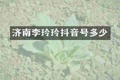 济南李玲玲抖音号多少