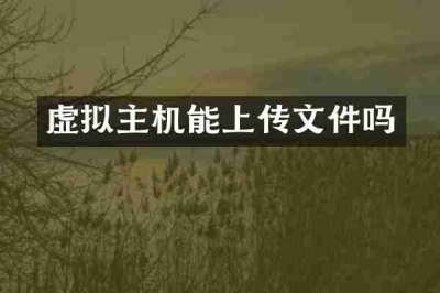 虚拟主机能上传文件吗