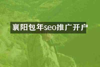襄阳包年seo推广开户