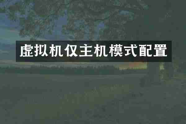 虚拟机仅主机模式配置